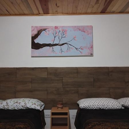 Cabana La Camelia Креэль Экстерьер фото